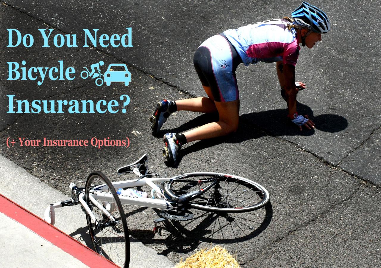 Insurance bicycle need options do