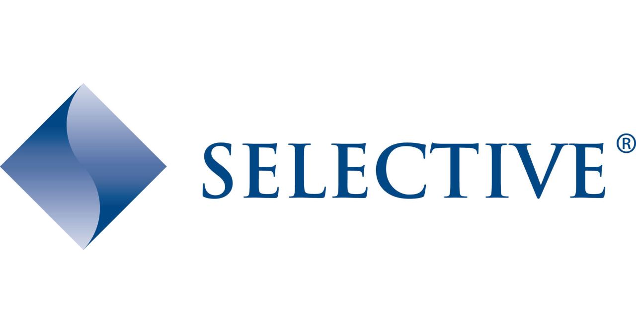 Selective insurance group services inc foundation trademarkia trademarks servi charitable assistance goods providing namely programs financial